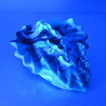 Load image into Gallery viewer, C4SDX86 Calypso Large 0030 UV GITD
