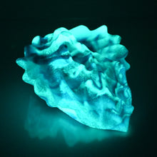 Load image into Gallery viewer, C4SDX86 Calypso Large 0030 UV GITD
