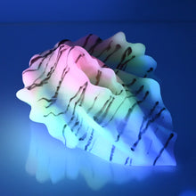 Load image into Gallery viewer, C4SDX85 Calypso Large 0030 UV GITD CS
