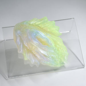 C2THA96 Calypso Small NC 0031 UV CS