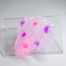 Load image into Gallery viewer, C2THA97 Calypso Small NC 0031 UV GITD CS
