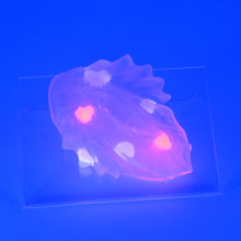 Load image into Gallery viewer, C2THA97 Calypso Small NC 0031 UV GITD CS
