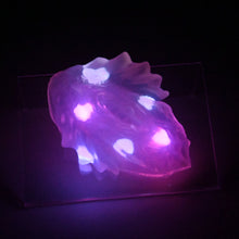 Load image into Gallery viewer, C2THA97 Calypso Small NC 0031 UV GITD CS
