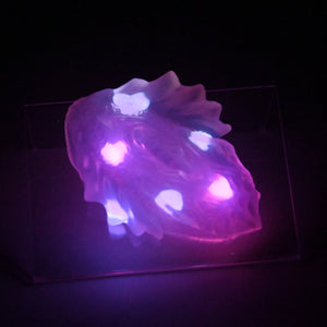C2THA97 Calypso Small NC 0031 UV GITD CS
