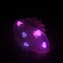 Load image into Gallery viewer, C2THA98 Calypso Small NC 0031 UV GITD CS
