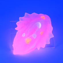 Load image into Gallery viewer, C4THA99 Calypso Large NC 0031 UV GITD CS
