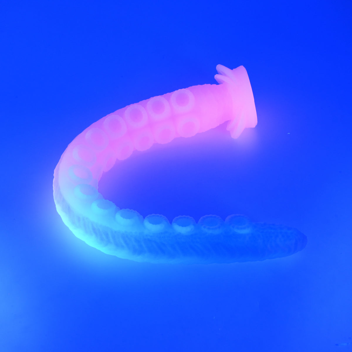 E4MKD29 Illex Large 0050 UV GITD