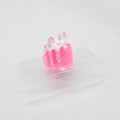 1PMKC62  Puppicorn 0030 UV GITD