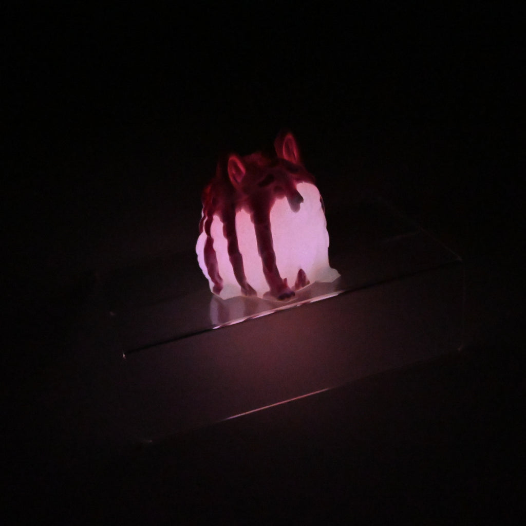 1PMKC62  Puppicorn 0030 UV GITD