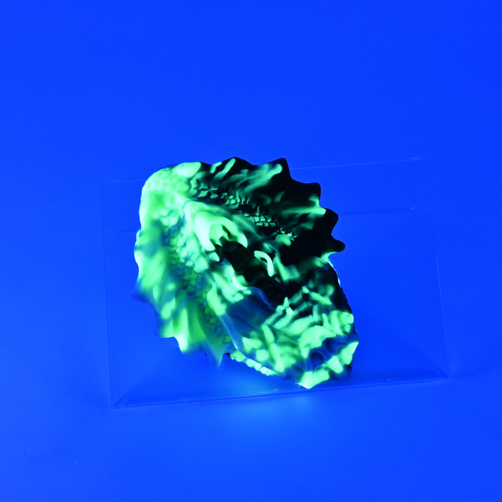 C2SKF08 Calypso Small 0030 UV GITD