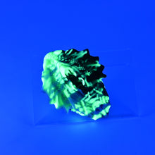 Load image into Gallery viewer, C2SKF08 Calypso Small 0030 UV GITD
