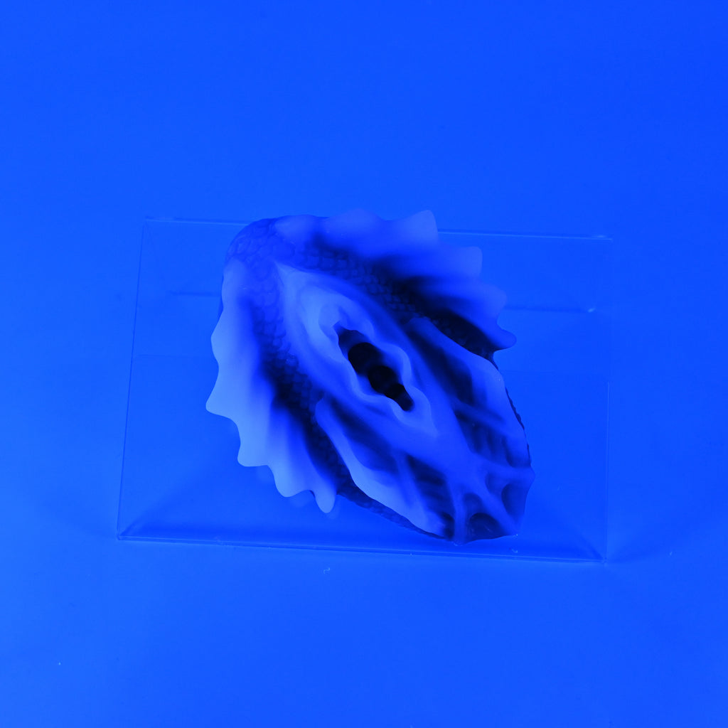C2SKF09 Calypso Small 0030 UV GITD