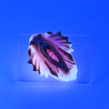 Load image into Gallery viewer, C2MKF10 Calypso Small 0050 UV GITD
