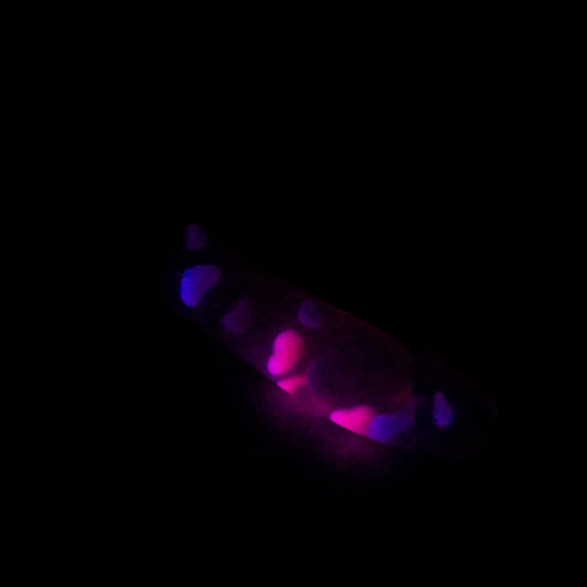 Z3THC17u Caelus Medium NC 0031 UV GITD CS GHU