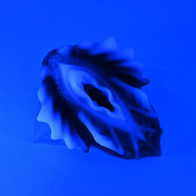 Load image into Gallery viewer, C4SKF13 Calypso Large 0030 UV GITD
