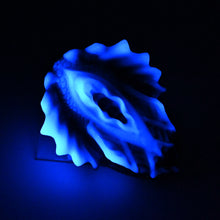 Load image into Gallery viewer, C4SKF13 Calypso Large 0030 UV GITD
