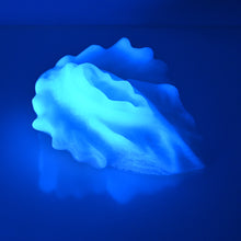 Load image into Gallery viewer, C4SFA07 Calypso Large 0030 UV GITD
