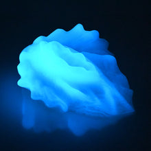 Load image into Gallery viewer, C4SFA07 Calypso Large 0030 UV GITD
