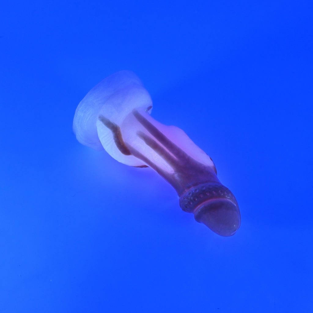 32MKE56 Celia Small 0050 UV GITD