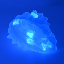 Load image into Gallery viewer, C2TGB07 Calypso Small NC 0031 UV GITD
