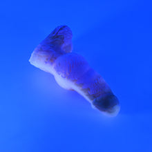 Load image into Gallery viewer, 52SKE64 Jacob Small 0030 UV GITD
