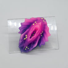 Load image into Gallery viewer, C2SJD84 Calypso Small 0030 UV GITD
