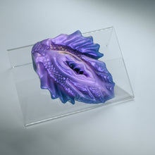 Load image into Gallery viewer, C2XJD85 Calypso Small 0020 CS
