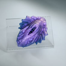 Load image into Gallery viewer, C2XJD85 Calypso Small 0020 CS
