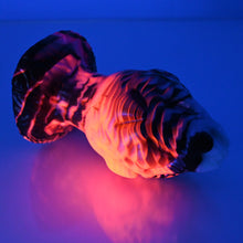 Load image into Gallery viewer, F4MDX96 Dragonfruit Plug Large 0050 UV CS
