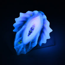 Load image into Gallery viewer, C4SJD86 Calypso Large 0030 UV GITD
