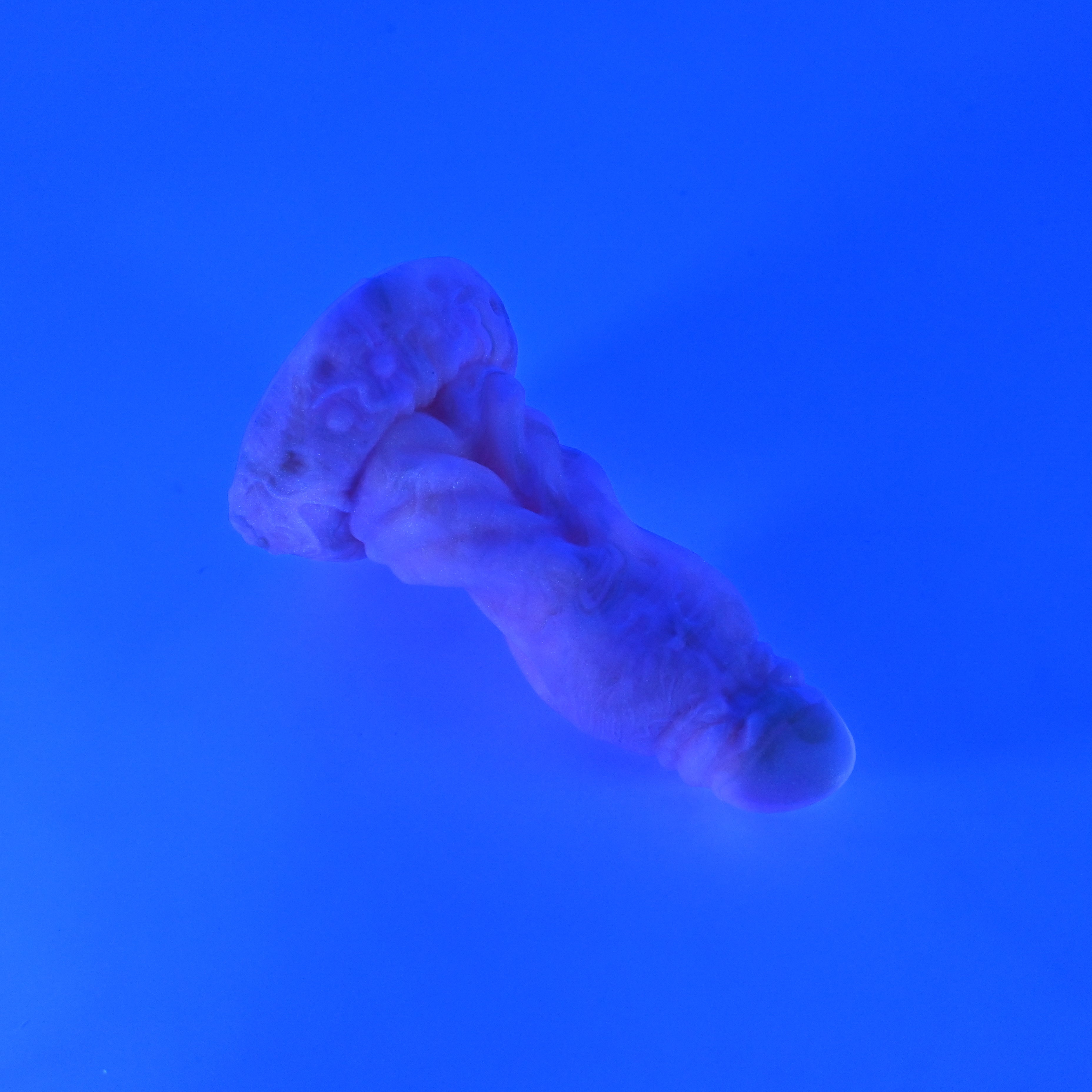 J1SKF59 Jupiter Mini 0030 UV GITD