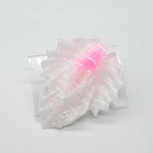 Load image into Gallery viewer, C4SHC41 Calypso Large 0030 UV GITD
