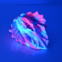 Load image into Gallery viewer, C2MDZ23 Calypso Small 0050 UV GITD
