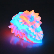 Load image into Gallery viewer, C2MDZ23 Calypso Small 0050 UV GITD
