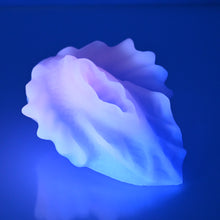 Load image into Gallery viewer, C2XDZ22 Calypso Small 0020 UV GITD CS
