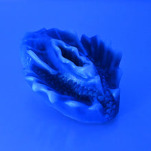 Load image into Gallery viewer, C2MDZ25 Calypso Small 0050 UV GITD CS
