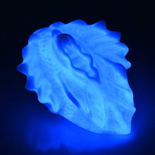 Load image into Gallery viewer, C2MDZ25 Calypso Small 0050 UV GITD CS
