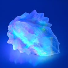 Load image into Gallery viewer, C2TDZ24 Calypso Small NC 0031 UV CS
