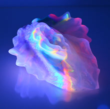 Load image into Gallery viewer, C4TDZ27 Calypso Large NC 0031 UV CS
