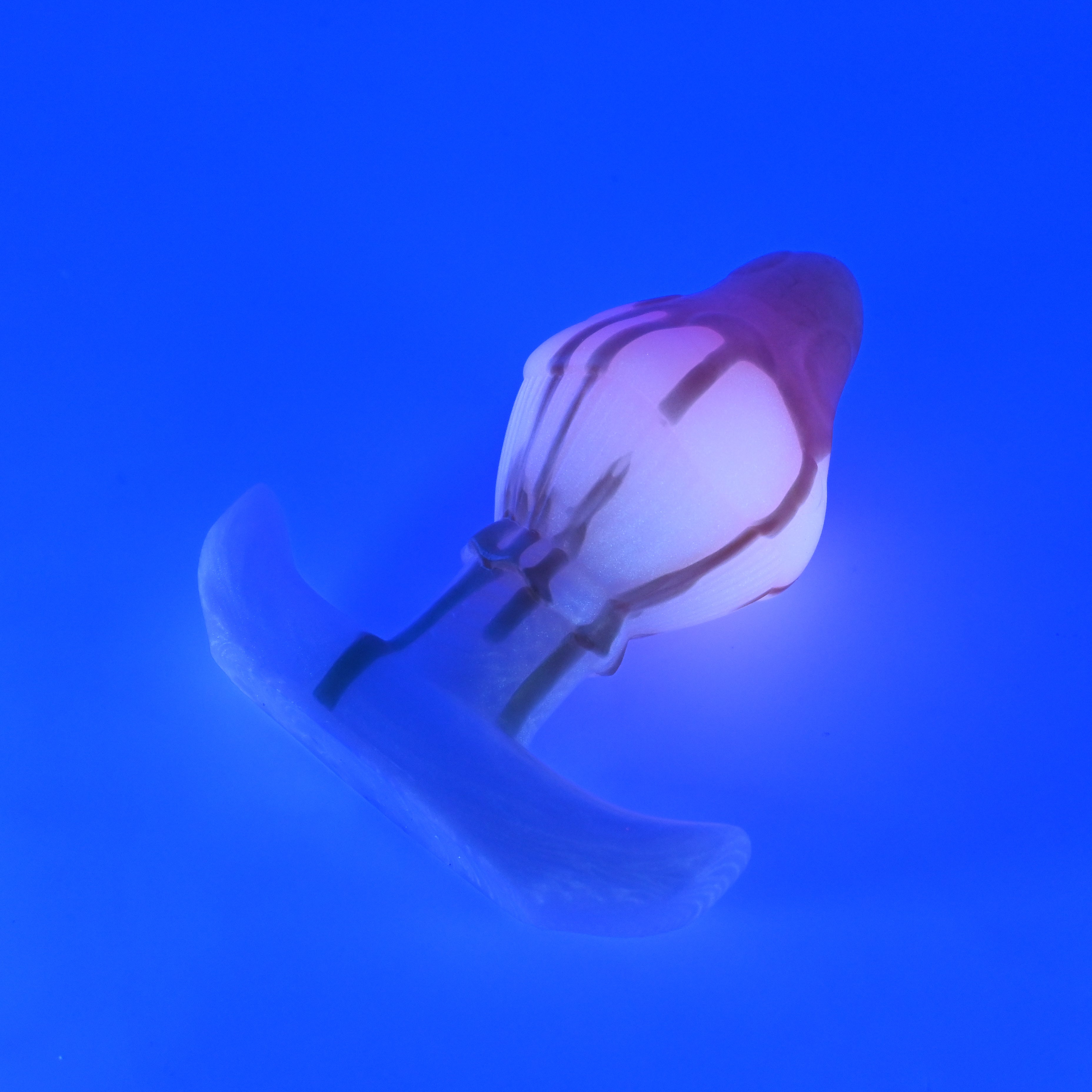 F4MKF37 Cylo Plug Large 0050 UV GITD