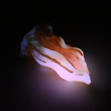 Load image into Gallery viewer, A4MKE90 Alara Large 0050 UV GITD
