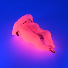 Load image into Gallery viewer, A4SKE92 Alara Large 0030 UV GITD
