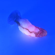 Load image into Gallery viewer, B3MKF05 Flora Medium 0050 UV GITD
