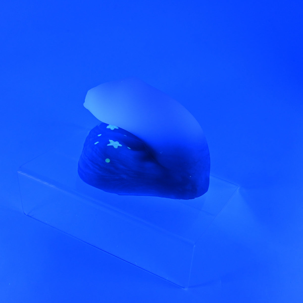PNSKF86 Uncut Packer 0030 UV GITD