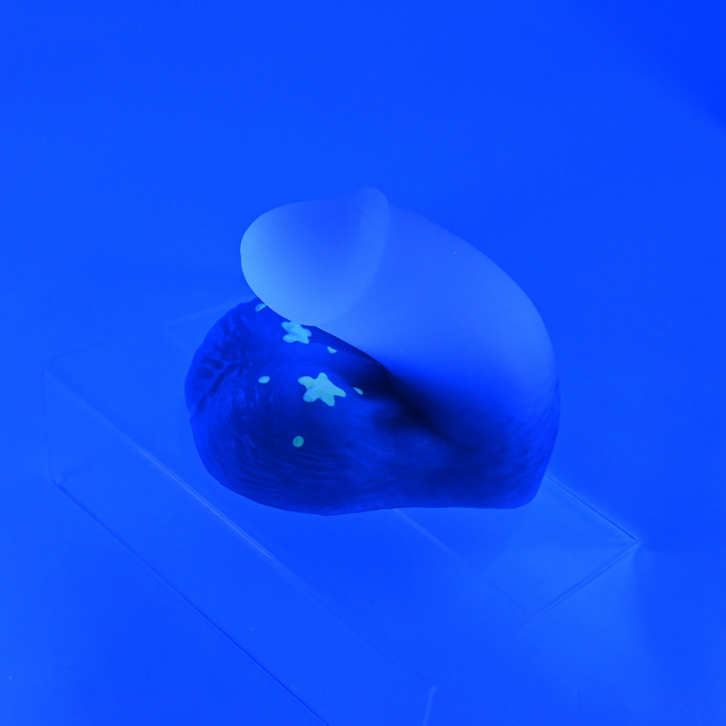 PCSKF85 Cut Packer 0030 UV GITD