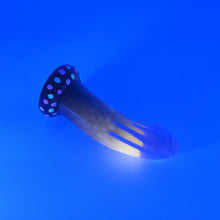Load image into Gallery viewer, T2SHD19 Titan Small 0030 UV GITD
