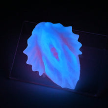 Load image into Gallery viewer, C2MKG98 Calypso Small 0050 UV GITD
