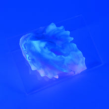 Load image into Gallery viewer, C2SKG99 Calypso Small 0030 UV GITD
