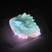 Load image into Gallery viewer, C2SKG99 Calypso Small 0030 UV GITD

