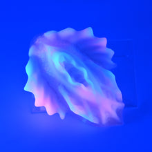 Load image into Gallery viewer, C4XKG00 Calypso Large 0020 UV GITD
